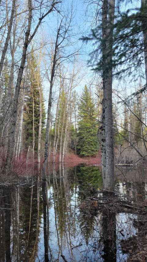 Tiny photo for 34477 Shay Lake Road, Bigfork, MT 59911 (MLS # 30067787)