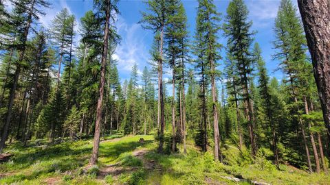 Tiny photo for 34477 Shay Lake Road, Bigfork, MT 59911 (MLS # 30067787)