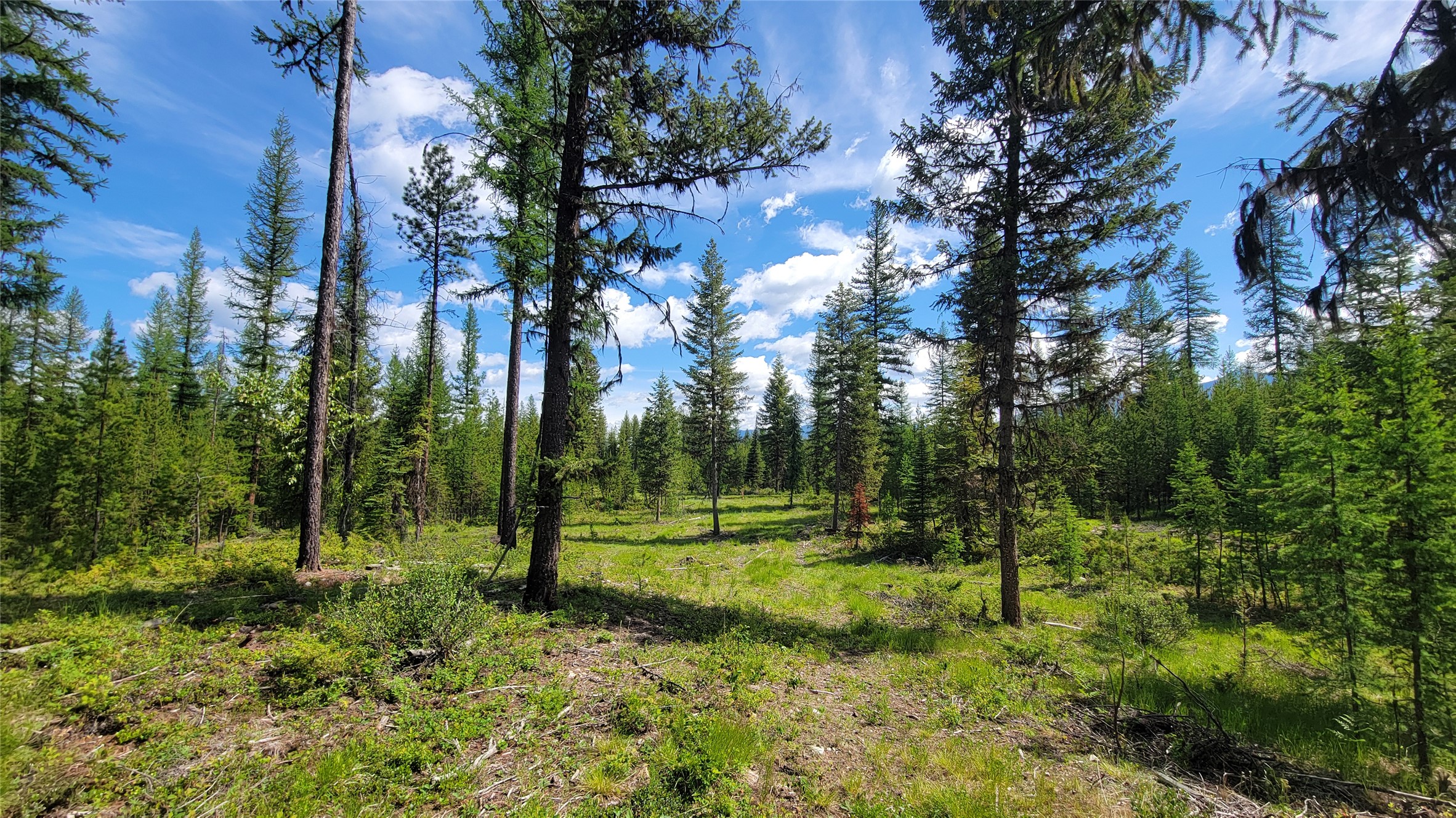 34477 Shay Lake Road