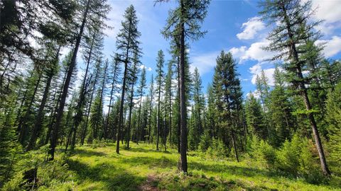 Tiny photo for 34477 Shay Lake Road, Bigfork, MT 59911 (MLS # 30067787)
