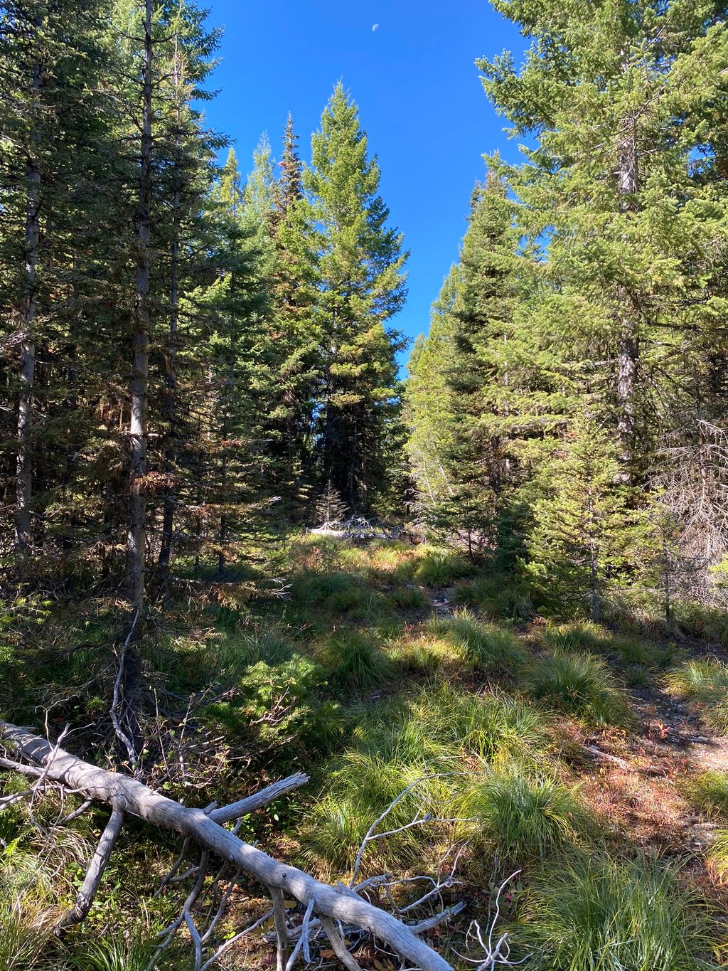 Photo of NHN Mill Creek Road, Frenchtown, MT 59834 (MLS # 30068876)