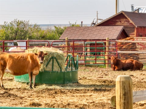 Tiny photo for 4551 Hwy 287, Fairfield, MT 59436 (MLS # 30077039)