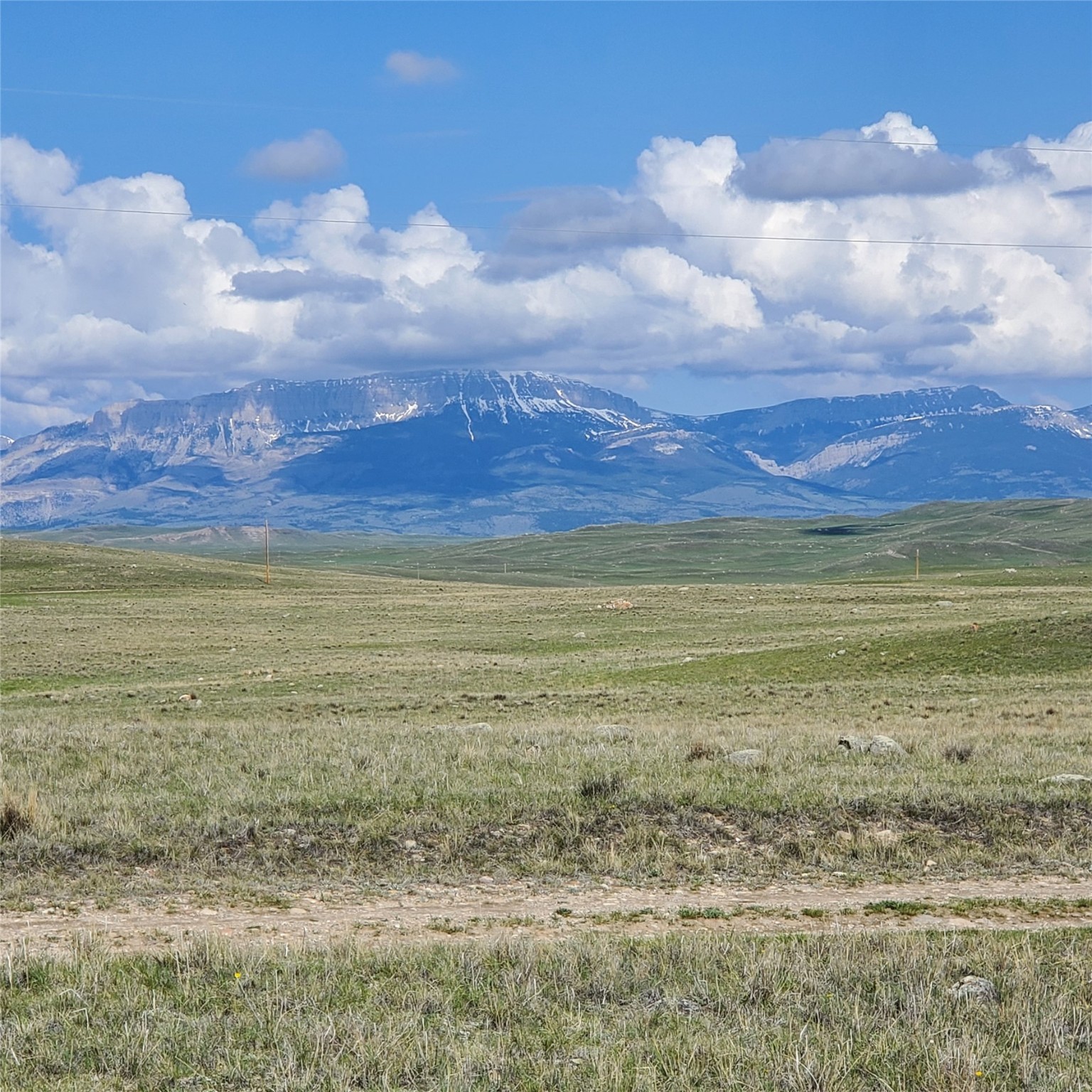 247 Prickly Pear Lane