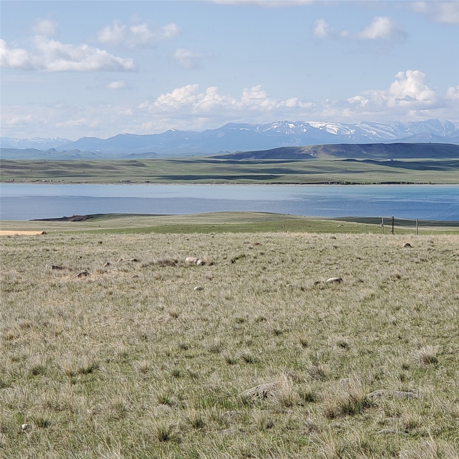 247 Prickly Pear Lane