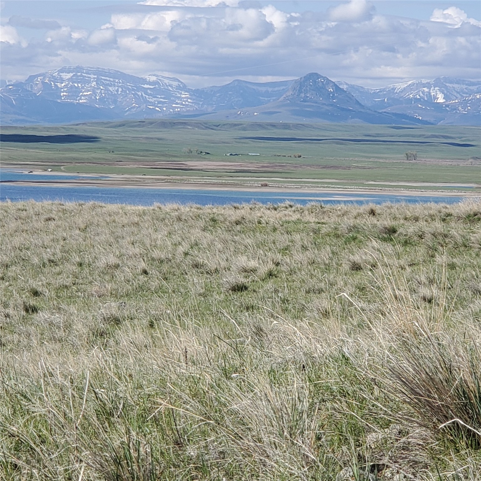 247 Prickly Pear Lane