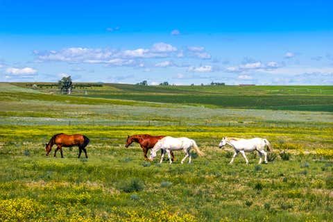 Tiny photo for TBD 13th Lane NE, Power, MT 59468 (MLS # 30076416)