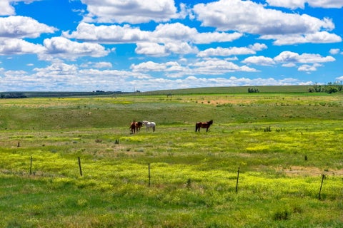 Tiny photo for TBD 13th Lane NE, Power, MT 59468 (MLS # 30076416)