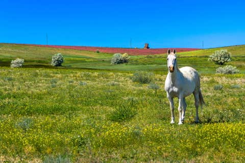 Tiny photo for TBD 13th Lane NE, Power, MT 59468 (MLS # 30076416)