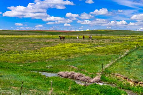Tiny photo for TBD 13th Lane NE, Power, MT 59468 (MLS # 30076416)