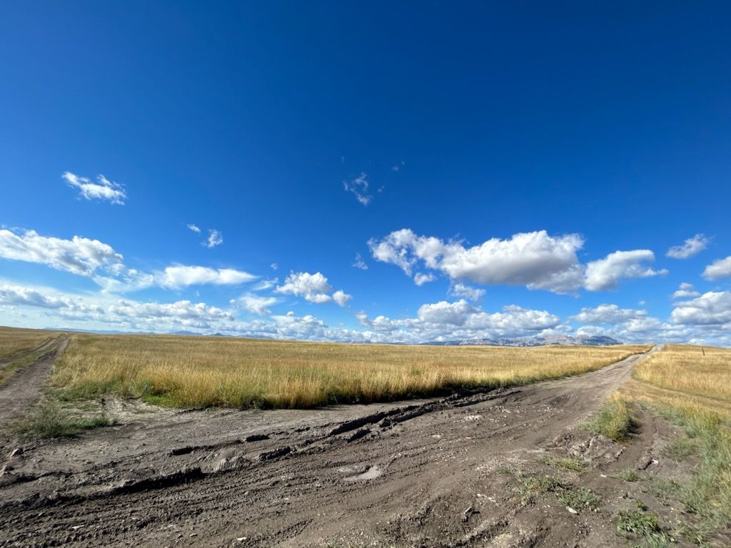 Photo of 120 W Bitterroot Lane, Augusta, MT 59410 (MLS # 30069792)
