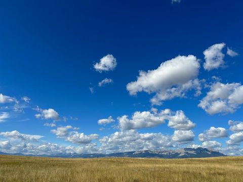 Tiny photo for 120 W Bitterroot Lane, Augusta, MT 59410 (MLS # 30069792)