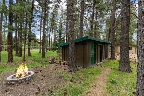 Tiny photo for 4030 Snow Fleury Lane, Lincoln, MT 59639 (MLS # 30071396)