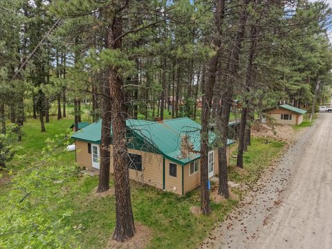 Photo of 4030 Snow Fleury Lane, Lincoln, MT 59639 (MLS # 30071396)