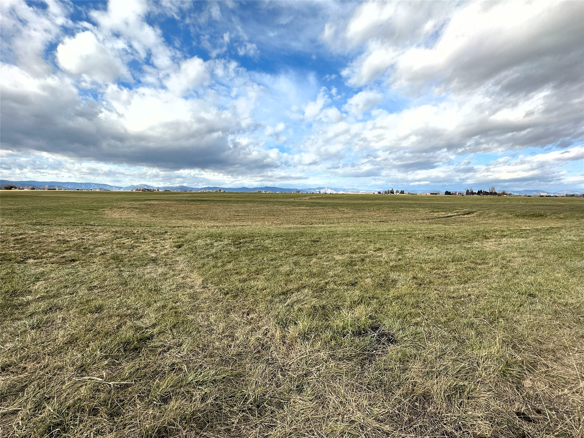 NHN Bouchard and Mink Lane