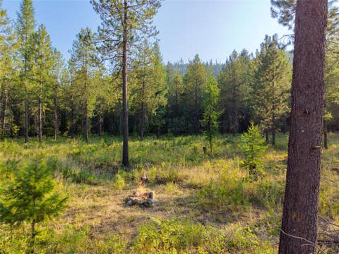 Tiny photo for Lot 4 Little Bear Loop, Troy, MT 59935 (MLS # 30076373)