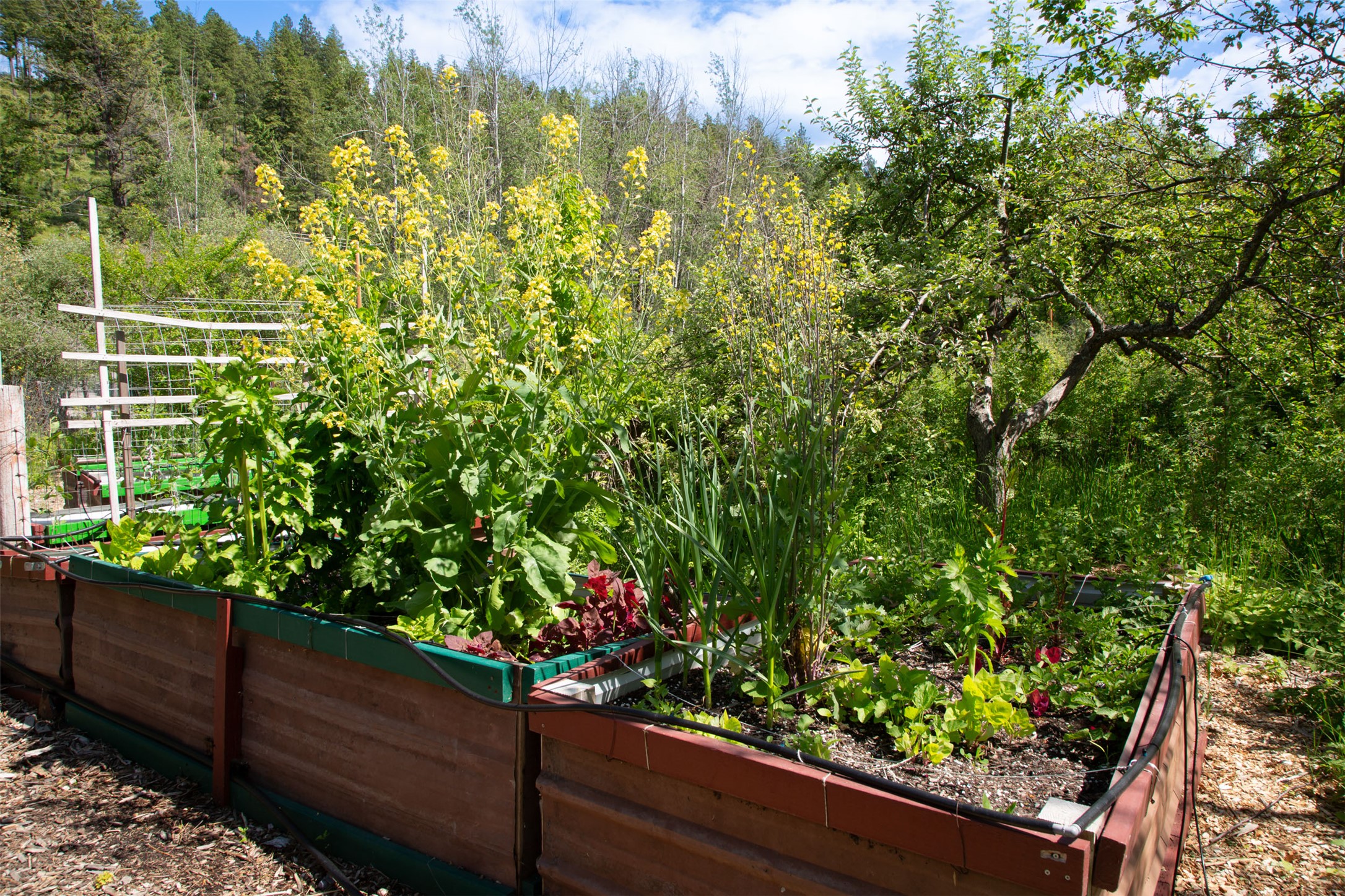 Bigfork, Montana 59911, United States, 3 Bedrooms Bedrooms, ,2 BathroomsBathrooms,Residential,Active,162628