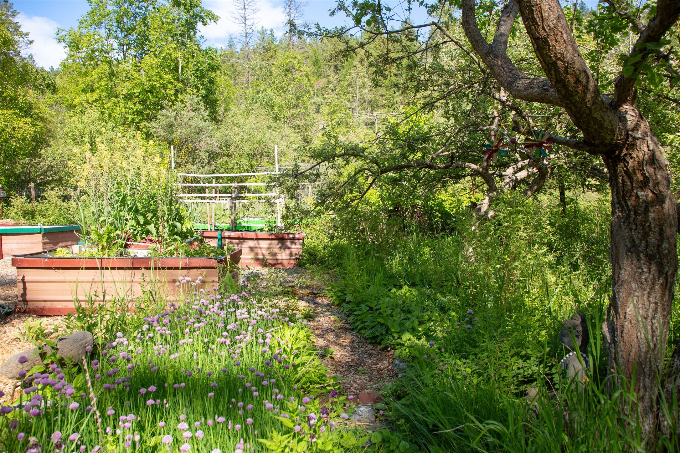 Bigfork, Montana 59911, United States, 3 Bedrooms Bedrooms, ,2 BathroomsBathrooms,Residential,Active,162628