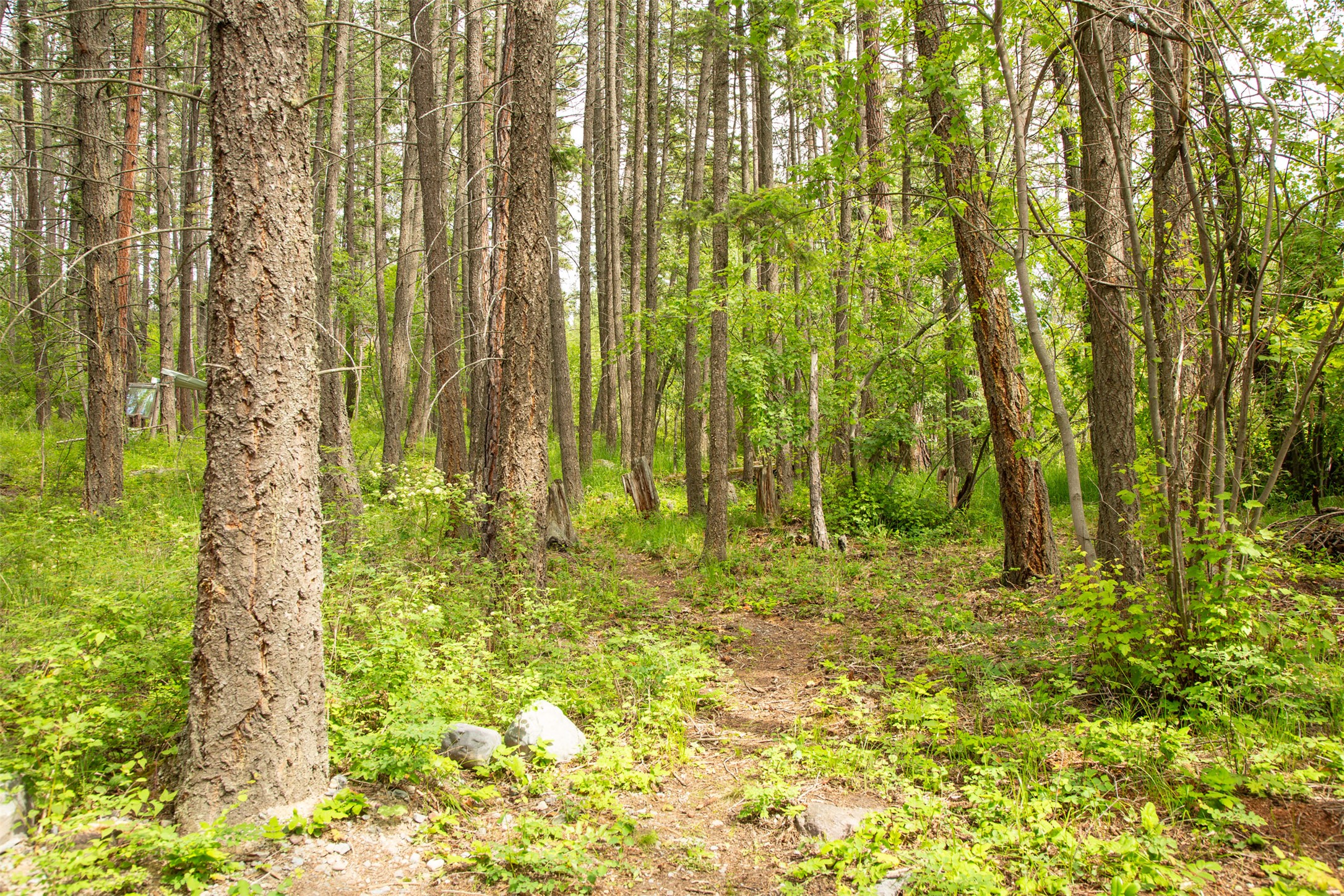 Bigfork, Montana 59911, United States, 3 Bedrooms Bedrooms, ,2 BathroomsBathrooms,Residential,Active,162628