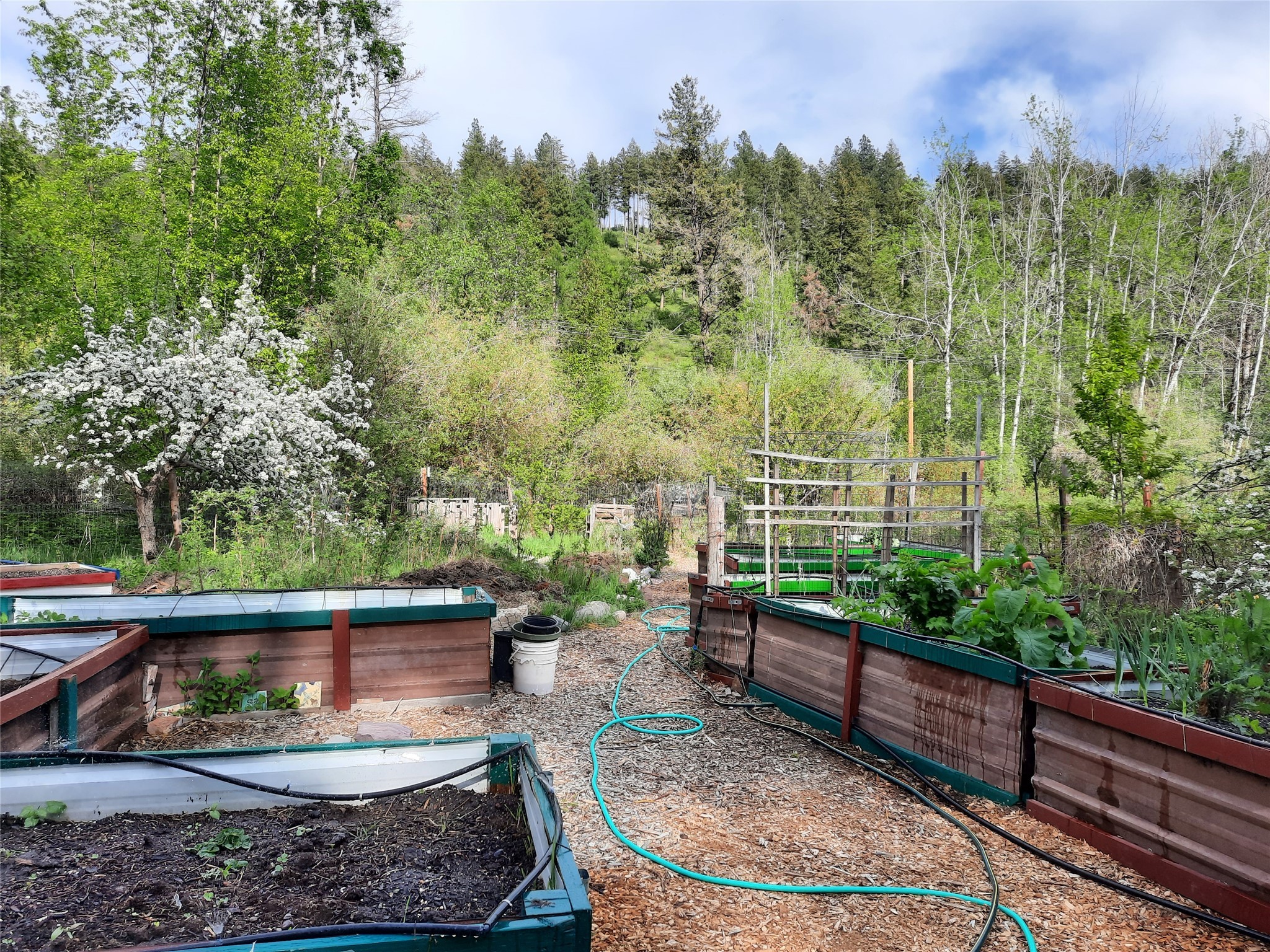 Bigfork, Montana 59911, United States, 3 Bedrooms Bedrooms, ,2 BathroomsBathrooms,Residential,Active,162628