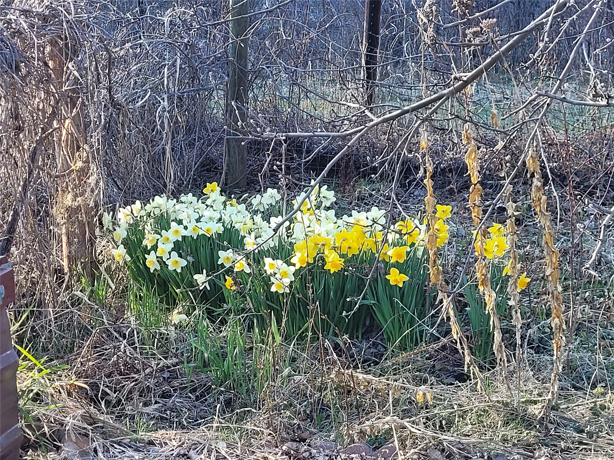Bigfork, Montana 59911, United States, 3 Bedrooms Bedrooms, ,2 BathroomsBathrooms,Residential,Active,162628