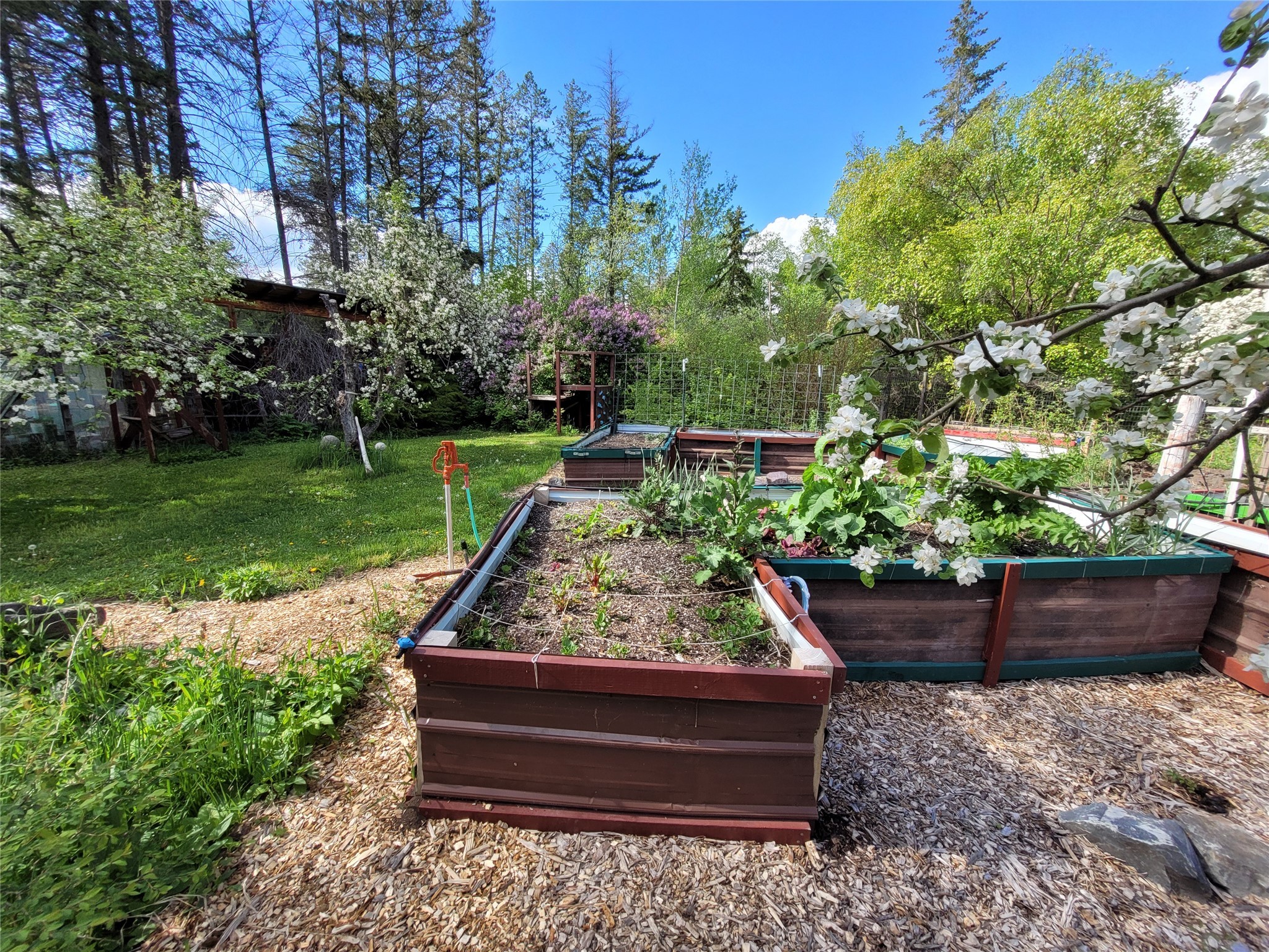 Bigfork, Montana 59911, United States, 3 Bedrooms Bedrooms, ,2 BathroomsBathrooms,Residential,Active,162628