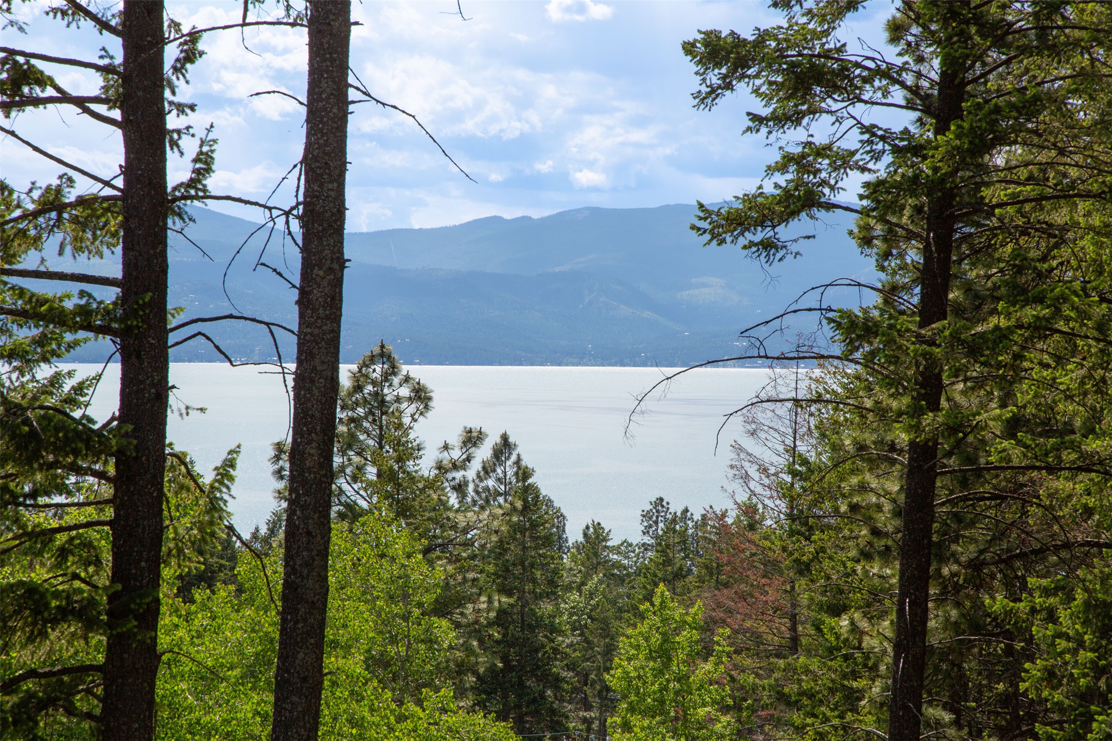 Bigfork, Montana 59911, United States, 3 Bedrooms Bedrooms, ,2 BathroomsBathrooms,Residential,Active,162628