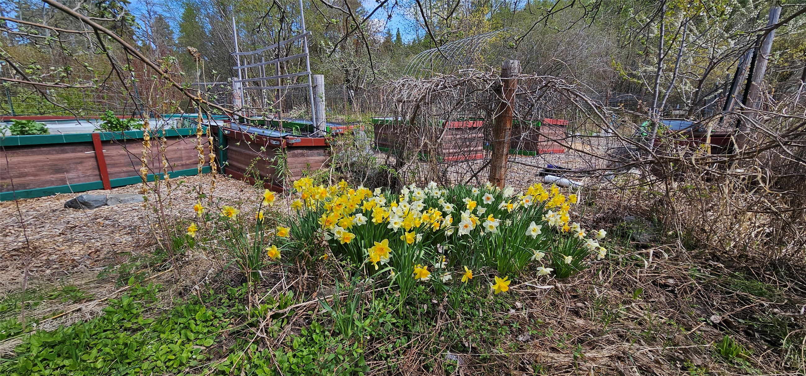 Bigfork, Montana 59911, United States, 3 Bedrooms Bedrooms, ,2 BathroomsBathrooms,Residential,Active,162628