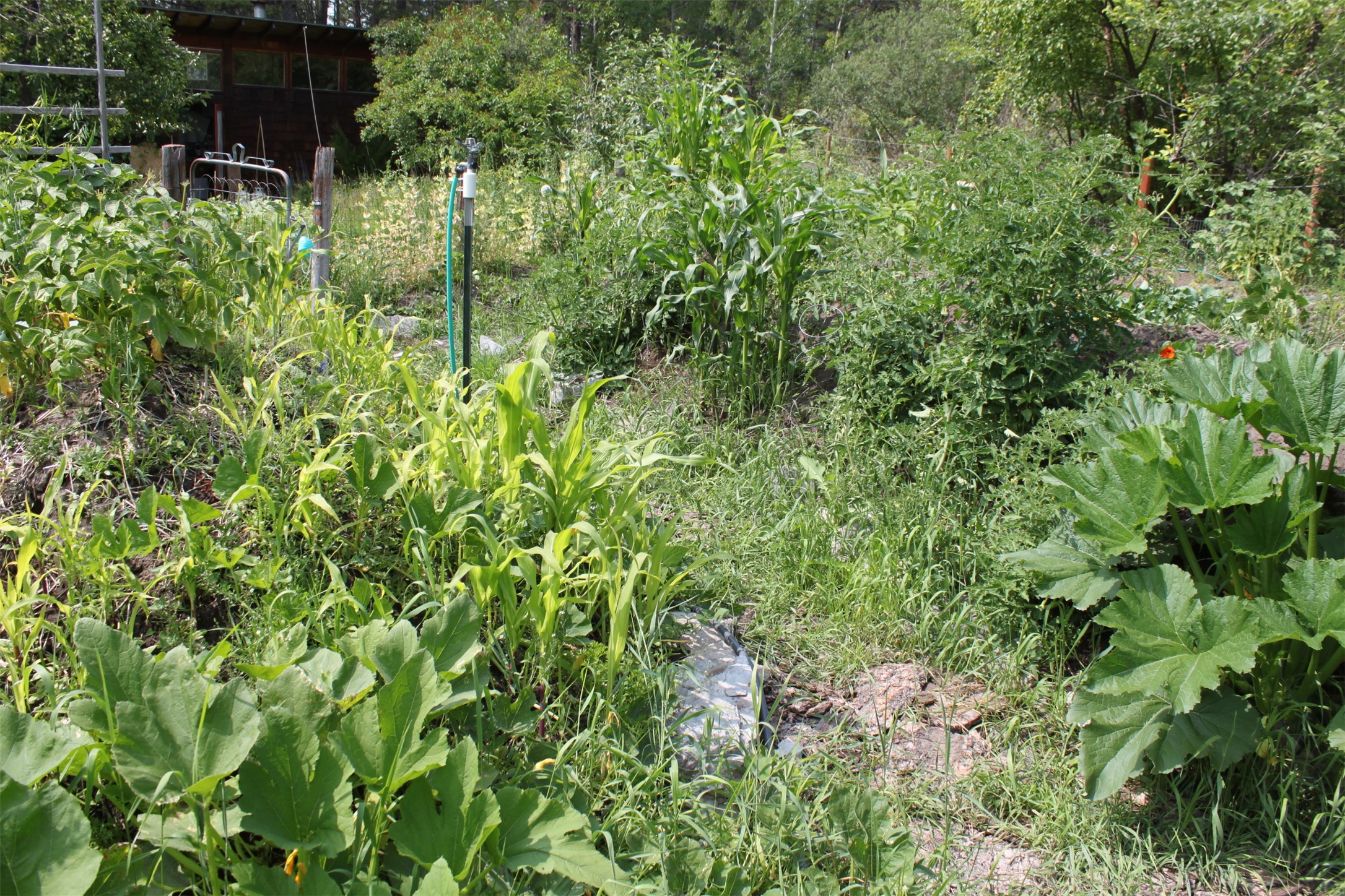 Bigfork, Montana 59911, United States, 3 Bedrooms Bedrooms, ,2 BathroomsBathrooms,Residential,Active,162628