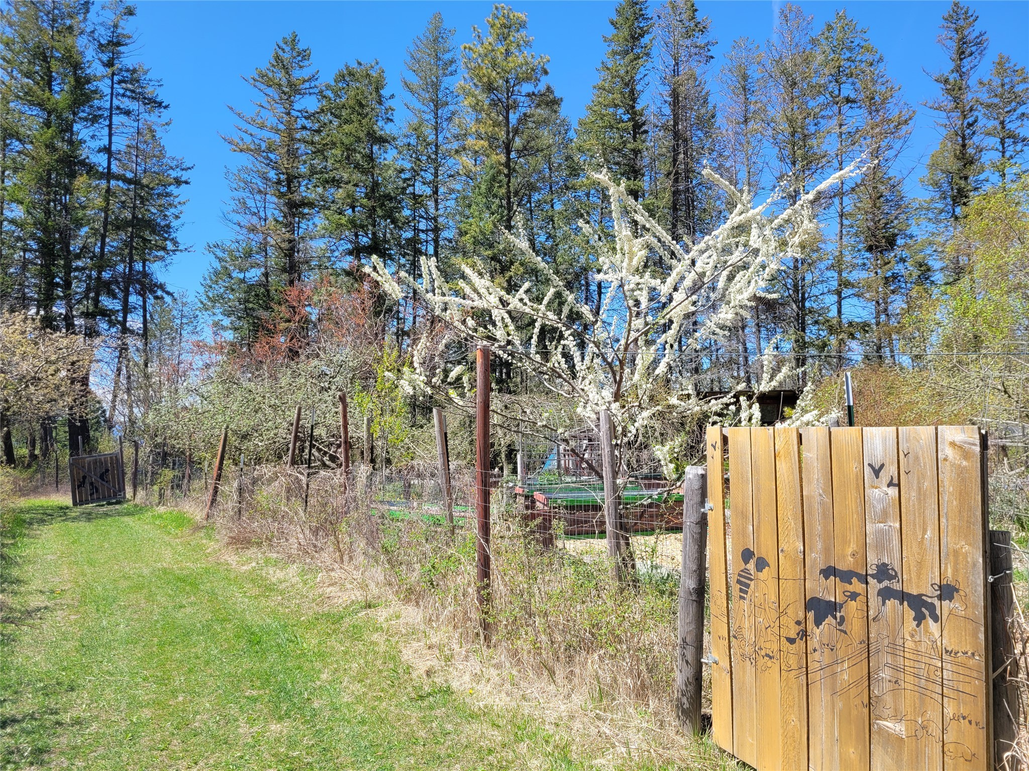 Bigfork, Montana 59911, United States, 3 Bedrooms Bedrooms, ,2 BathroomsBathrooms,Residential,Active,162628