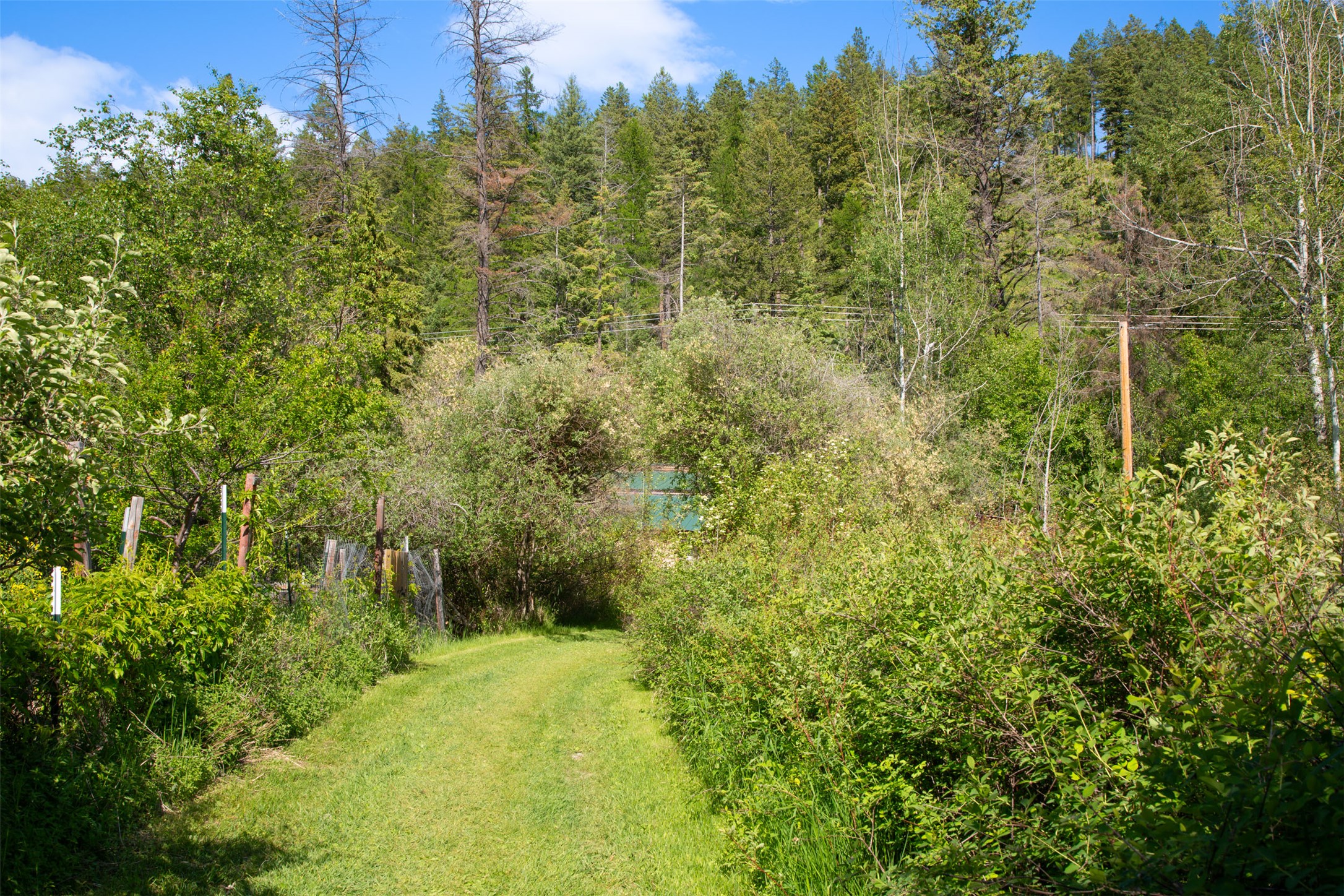 Bigfork, Montana 59911, United States, 3 Bedrooms Bedrooms, ,2 BathroomsBathrooms,Residential,Active,162628