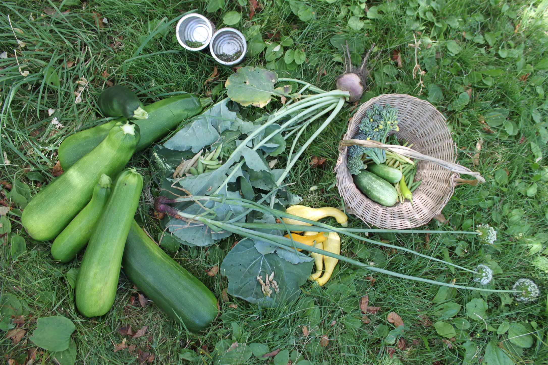 Bigfork, Montana 59911, United States, 3 Bedrooms Bedrooms, ,2 BathroomsBathrooms,Residential,Active,162628