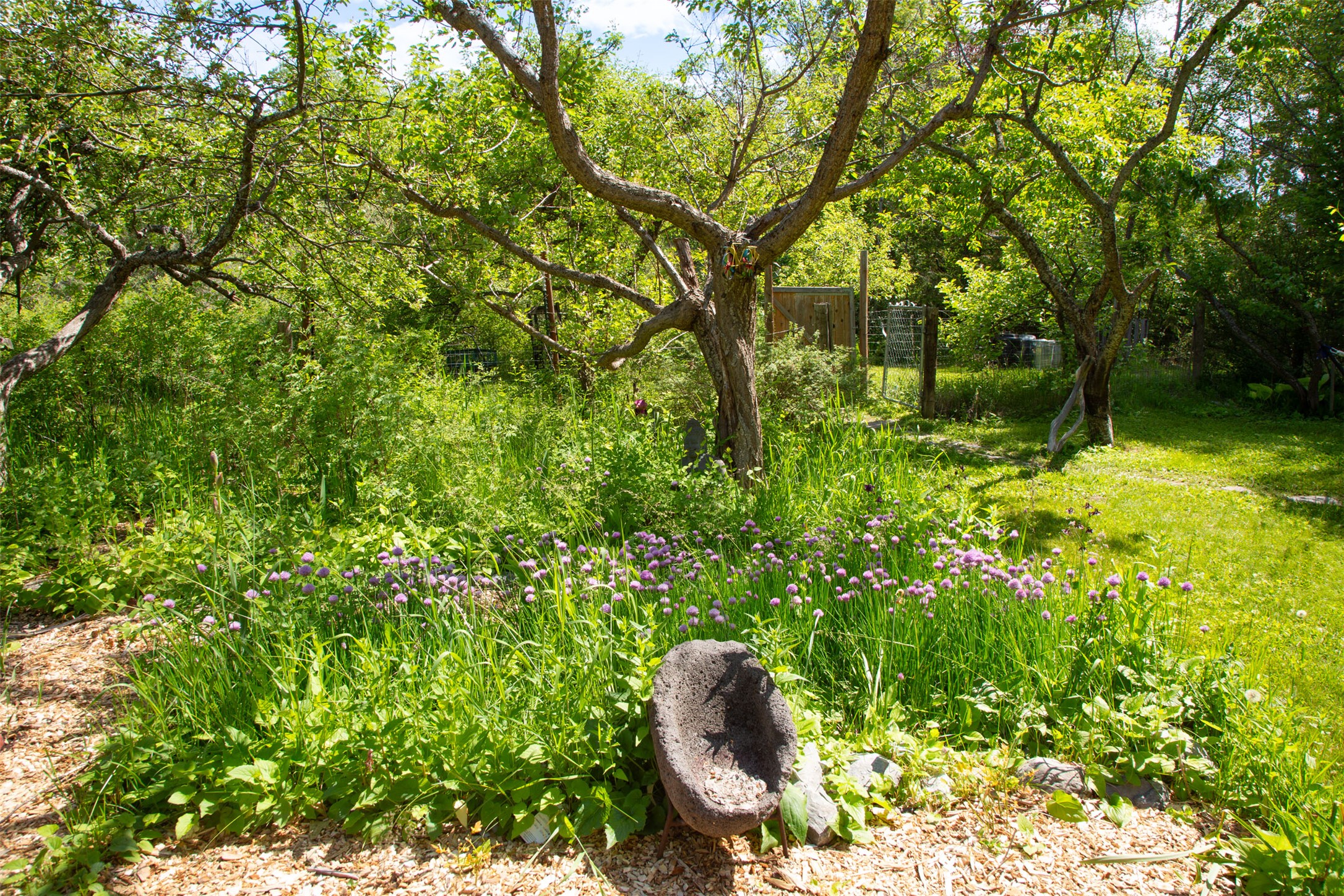 Bigfork, Montana 59911, United States, 3 Bedrooms Bedrooms, ,2 BathroomsBathrooms,Residential,Active,162628