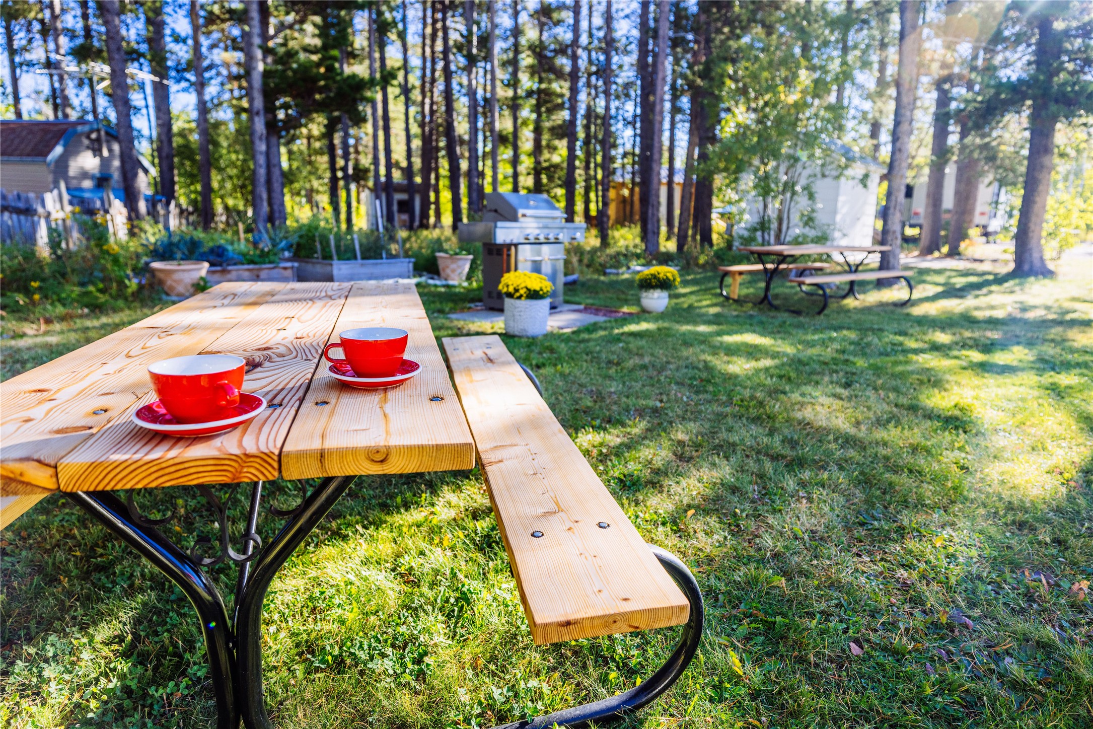 East Glacier Park, Montana 59434, United States, ,Commercial,Active,132835