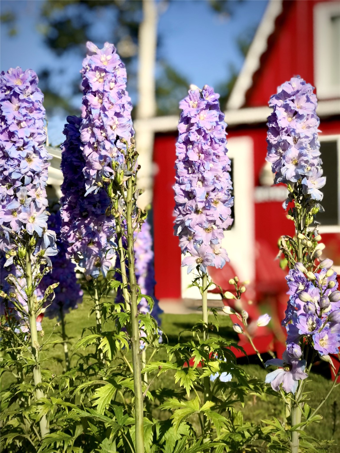 East Glacier Park, Montana 59434, United States, ,Commercial,Active,132835