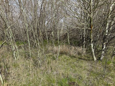Tiny photo for 7615 Highway 2, Butte, MT 59701 (MLS # 30071529)