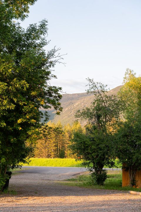 Tiny photo for 1675 MT Hwy 206, Columbia Falls, MT 59912 (MLS # 30068686)