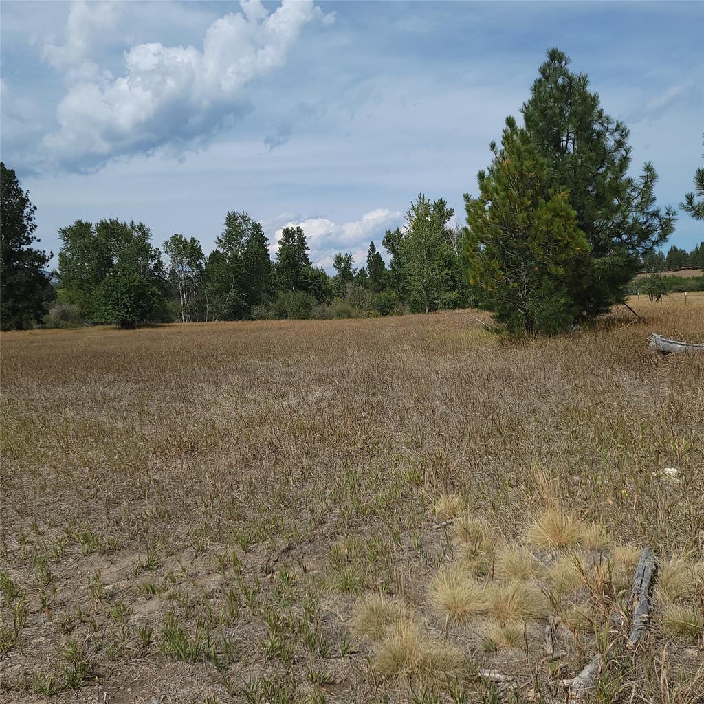 Photo of NHN Canyon Creek Road, Hamilton, MT 59840 (MLS # 30076984)