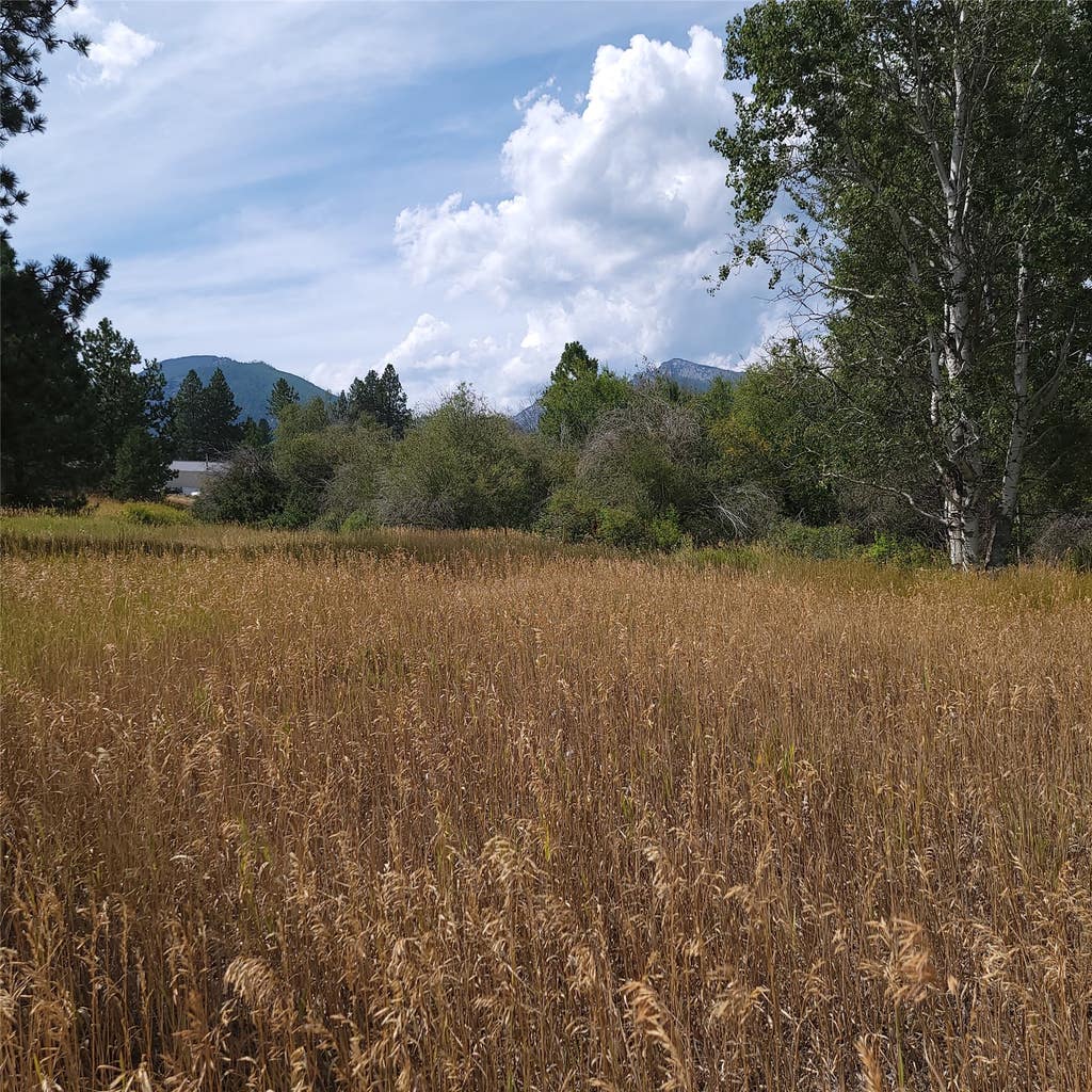Photo of NHN Canyon Creek Road, Hamilton, MT 59840 (MLS # 30076984)