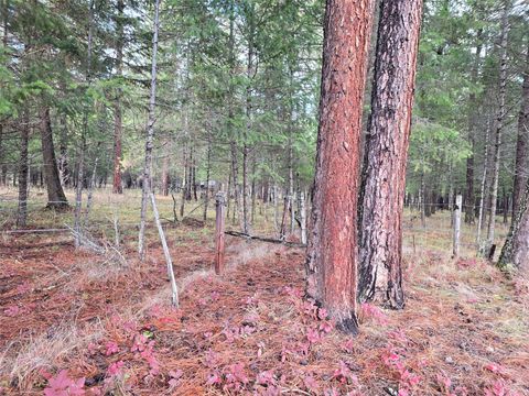Tiny photo for TBD Quartz Road, Libby, MT 59923 (MLS # 30061281)
