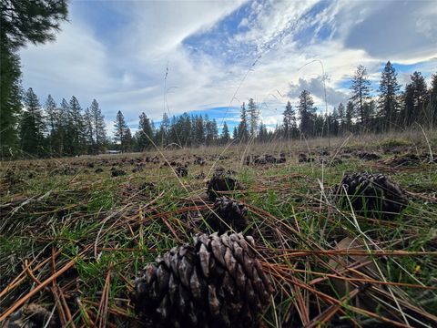 Tiny photo for TBD Quartz Road, Libby, MT 59923 (MLS # 30061281)