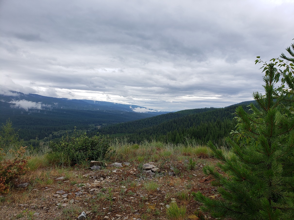 Lot 15 Nine Mile Road