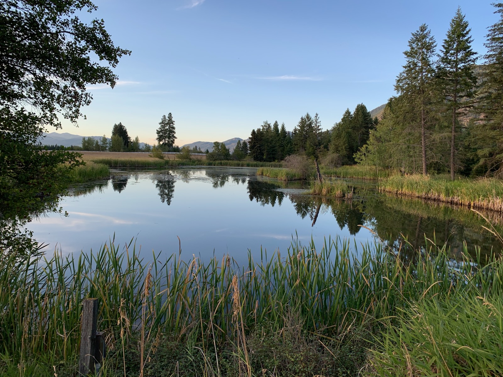 1335 Mooring Road