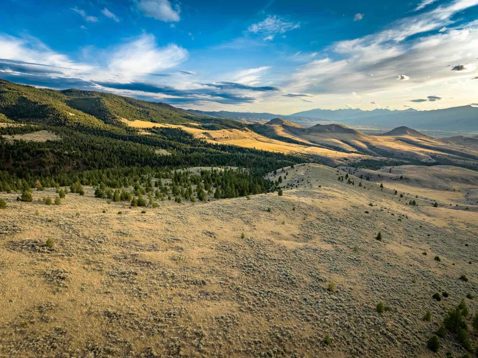 3689 Corley Gulch Road