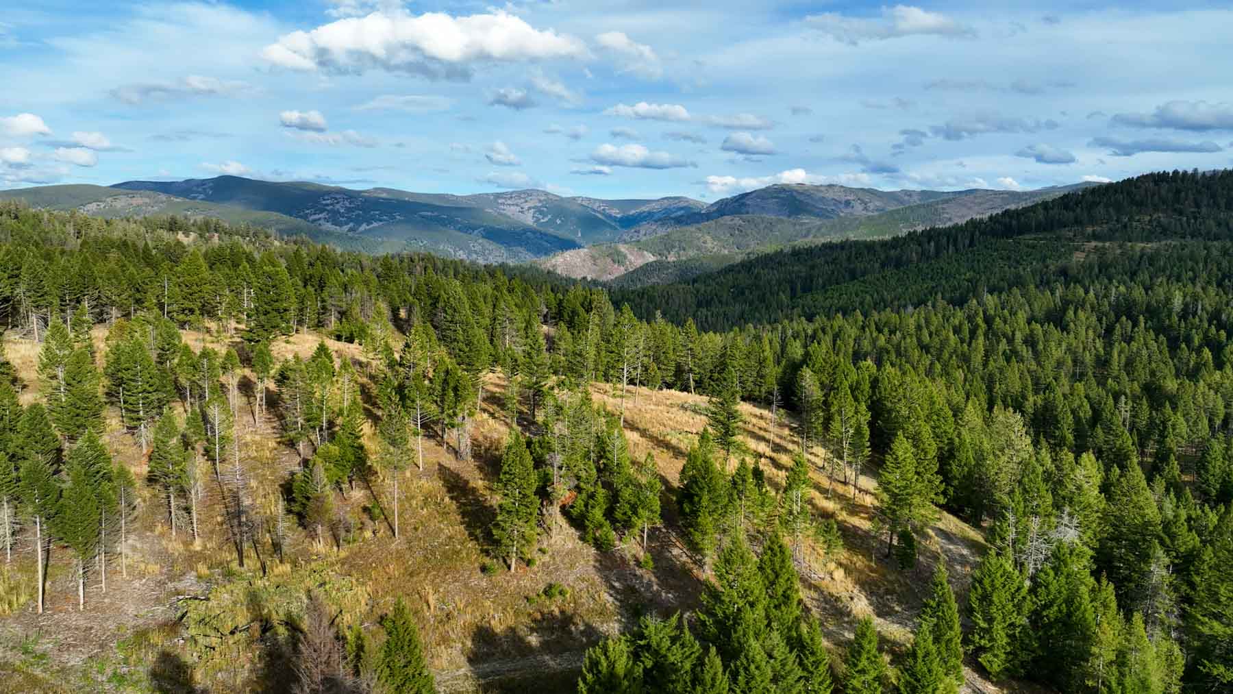 3689 Corley Gulch Road