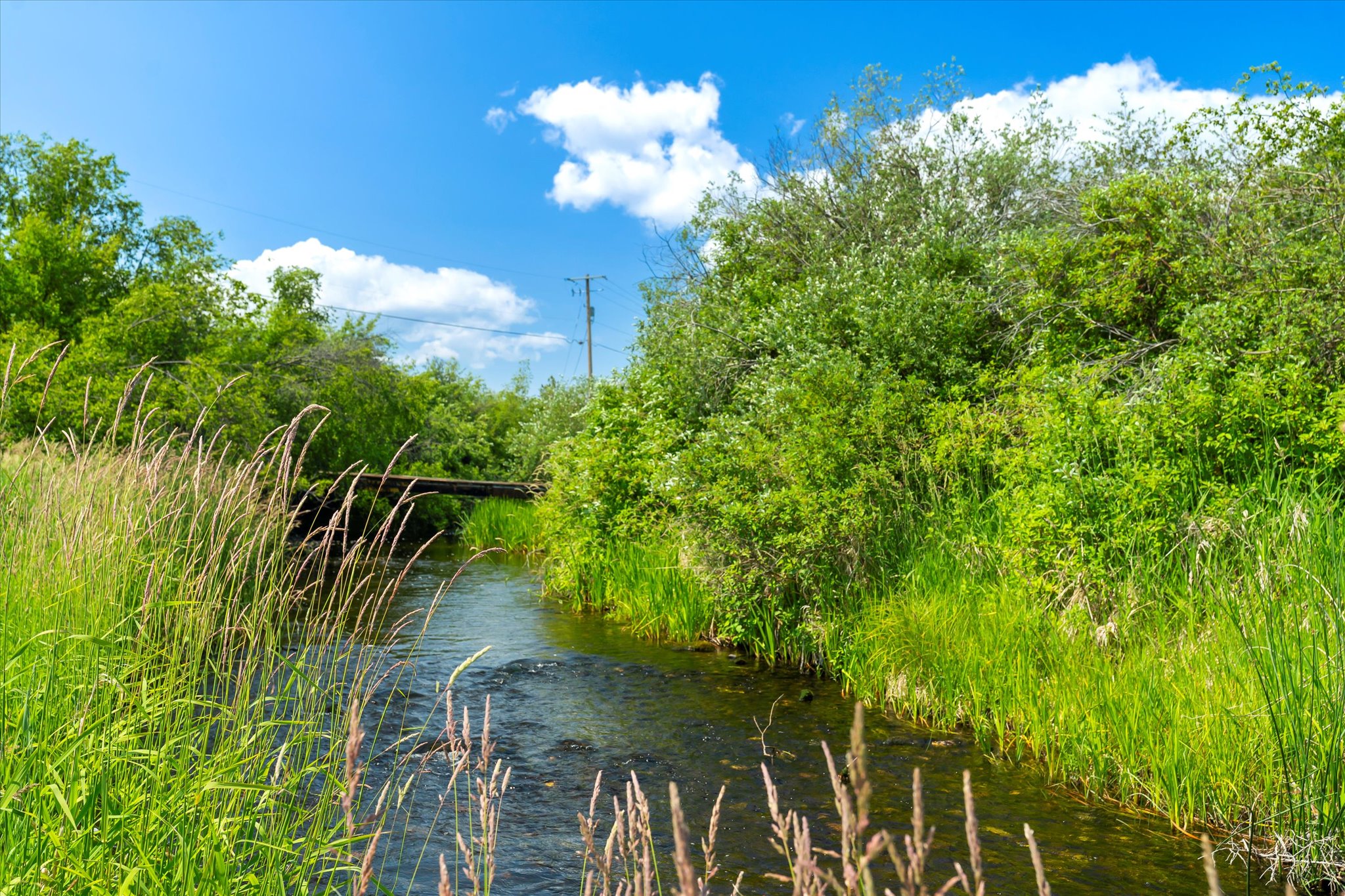 Kalispell, Montana 59901, United States, 5 Bedrooms Bedrooms, ,3 BathroomsBathrooms,Residential,Active,160207