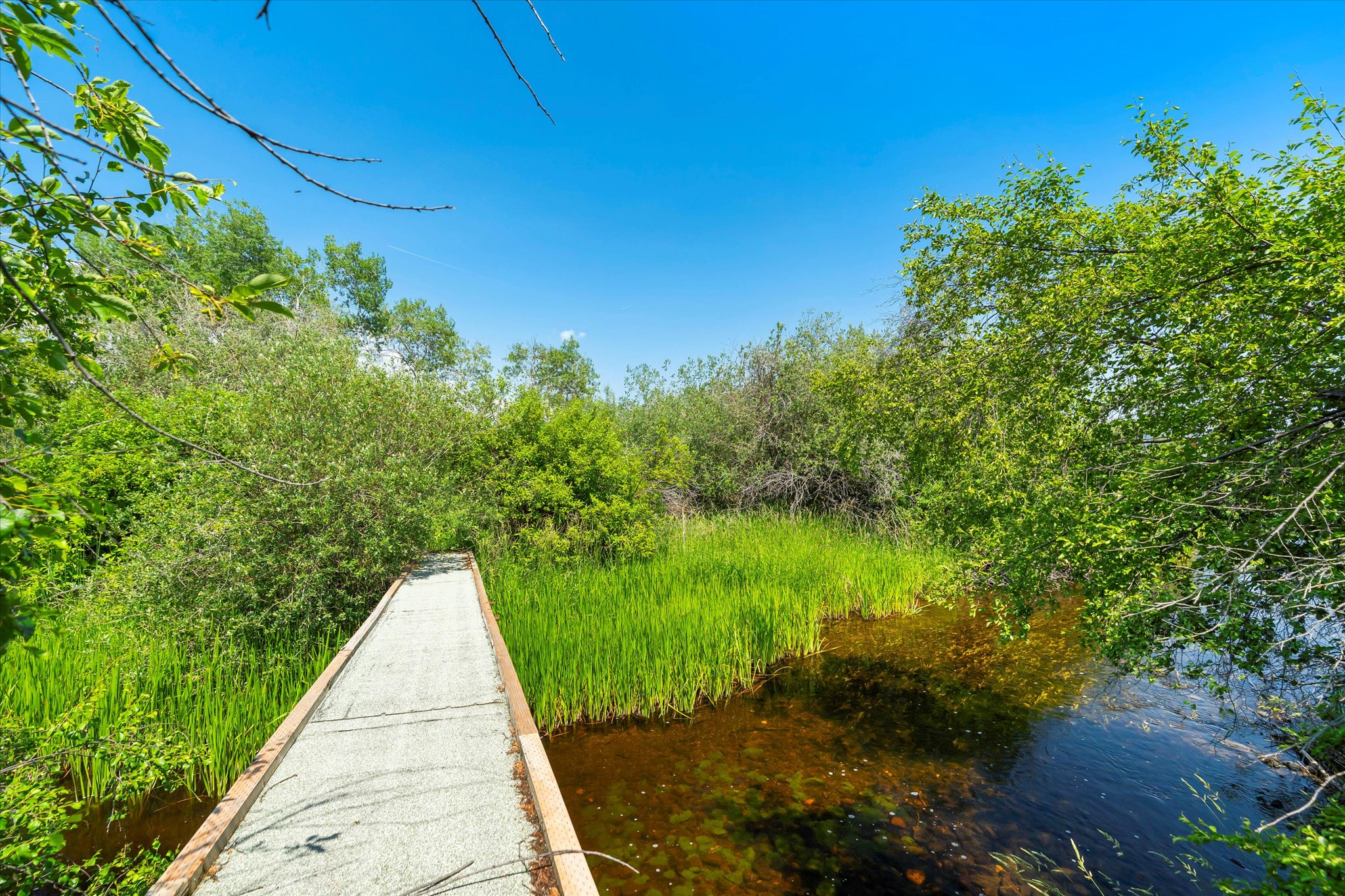 Kalispell, Montana 59901, United States, 5 Bedrooms Bedrooms, ,3 BathroomsBathrooms,Residential,Active,160207