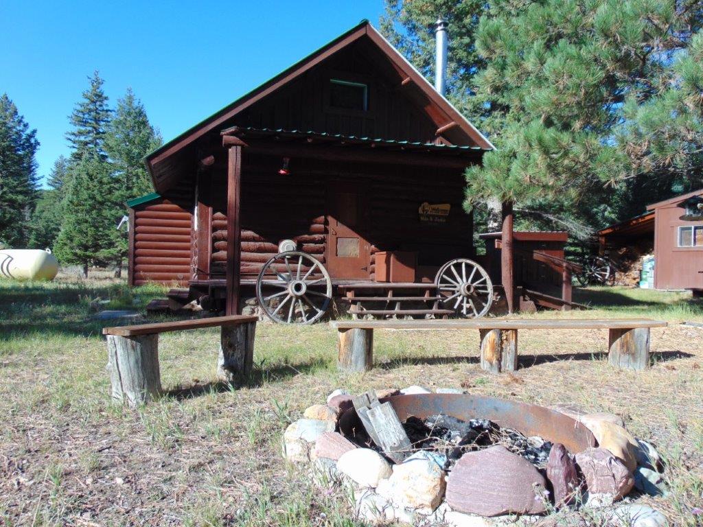 Photo of 8872 Elk Trail Loop, Lincoln, MT 59639 (MLS # 30078954)