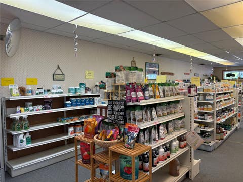 Tiny photo for 2 S Montana Street, Dillon, MT 59725 (MLS # 30076641)