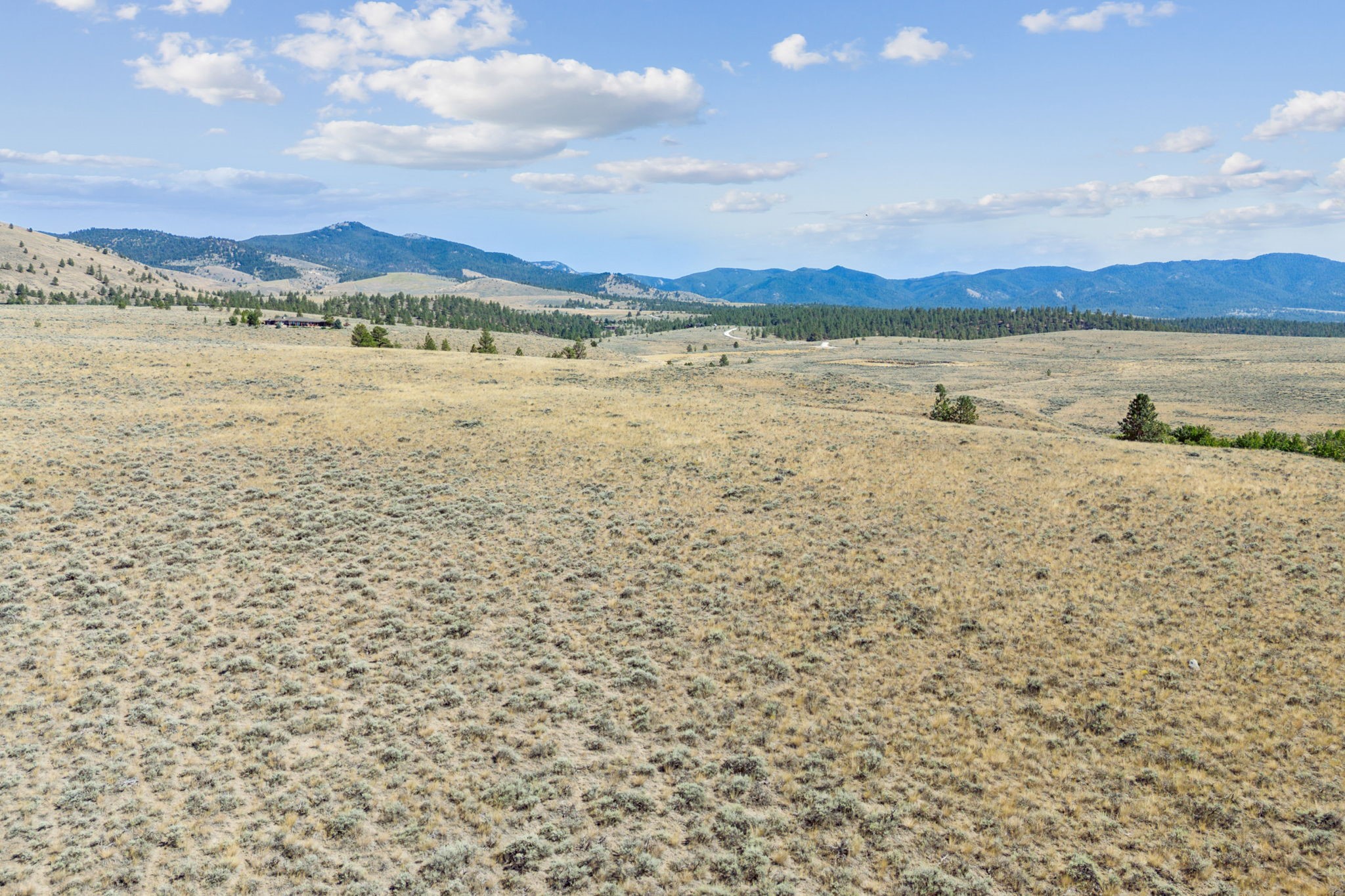 Tract 151c Peppergrass Lane