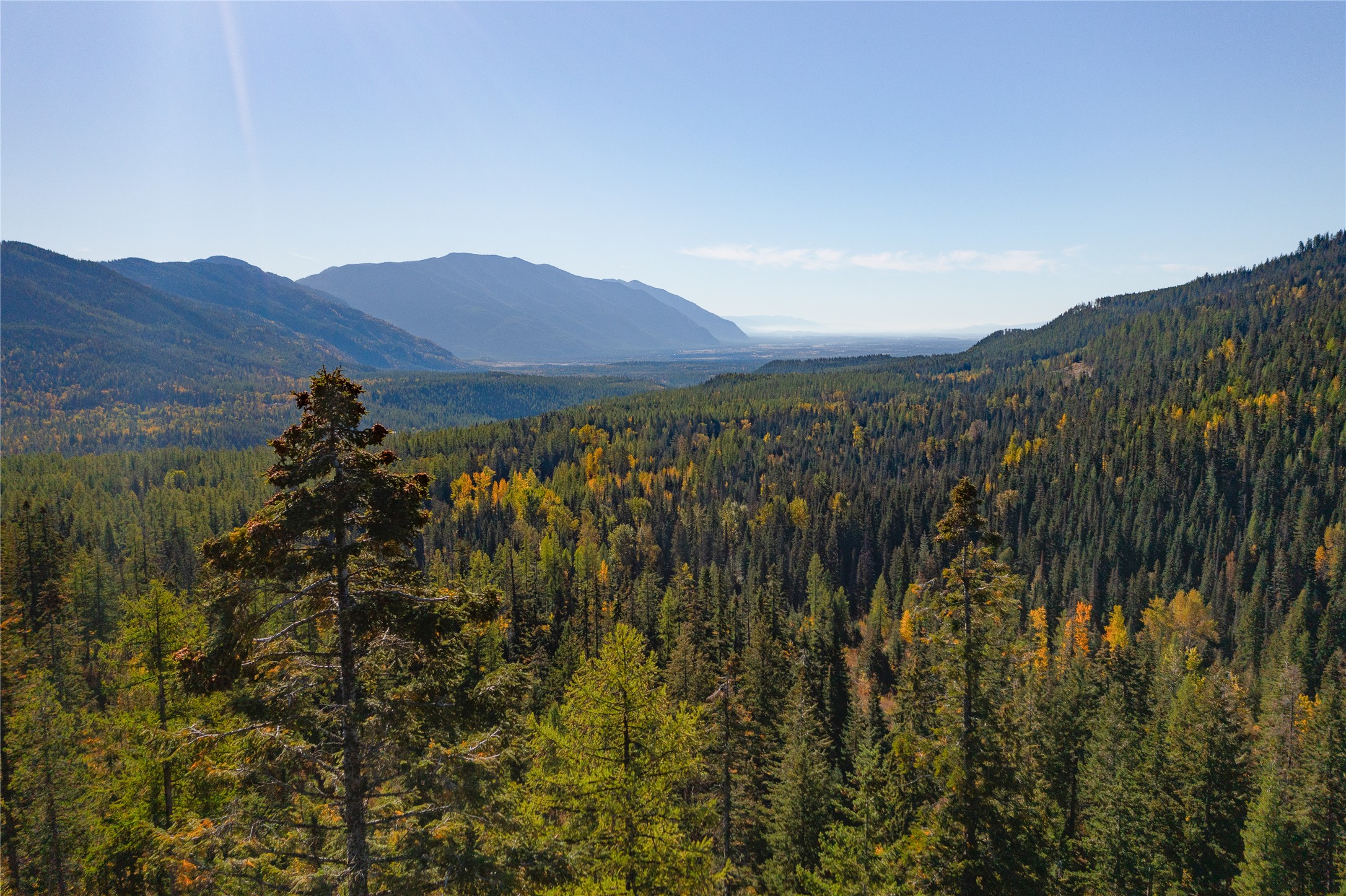 NHN Kelly Mountain Road